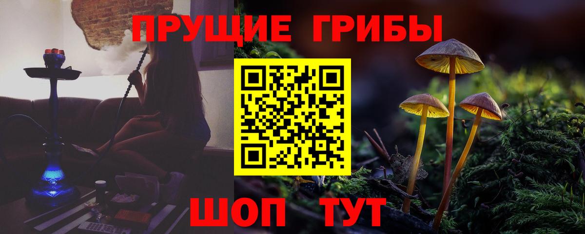 Камышин  Псилоцибиновые грибы мухоморы  Вход с VPN 